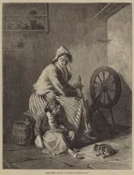 Os animais de estimação